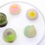 今週の生菓子
